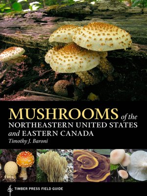 cover image of Mushrooms of the Northeastern United States and Eastern Canada